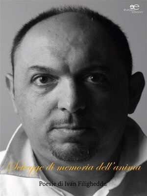 cover image of Schegge di memoria dell'anima